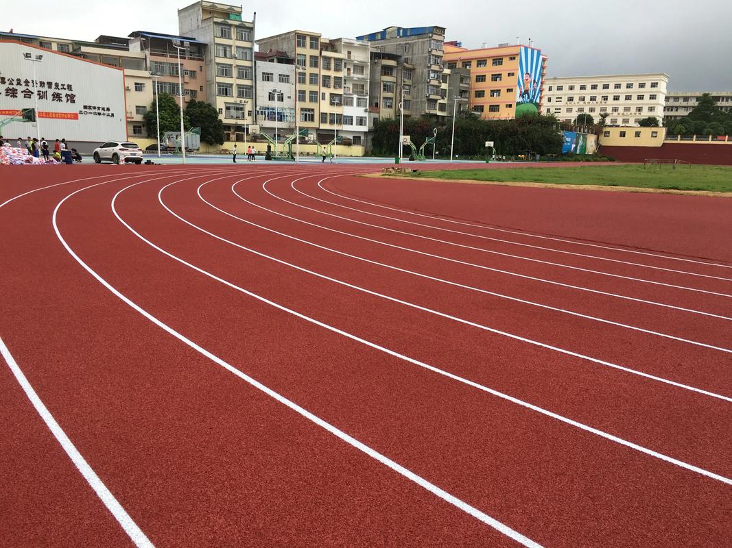 万宁市硅PU塑胶跑道材料 - 价格
